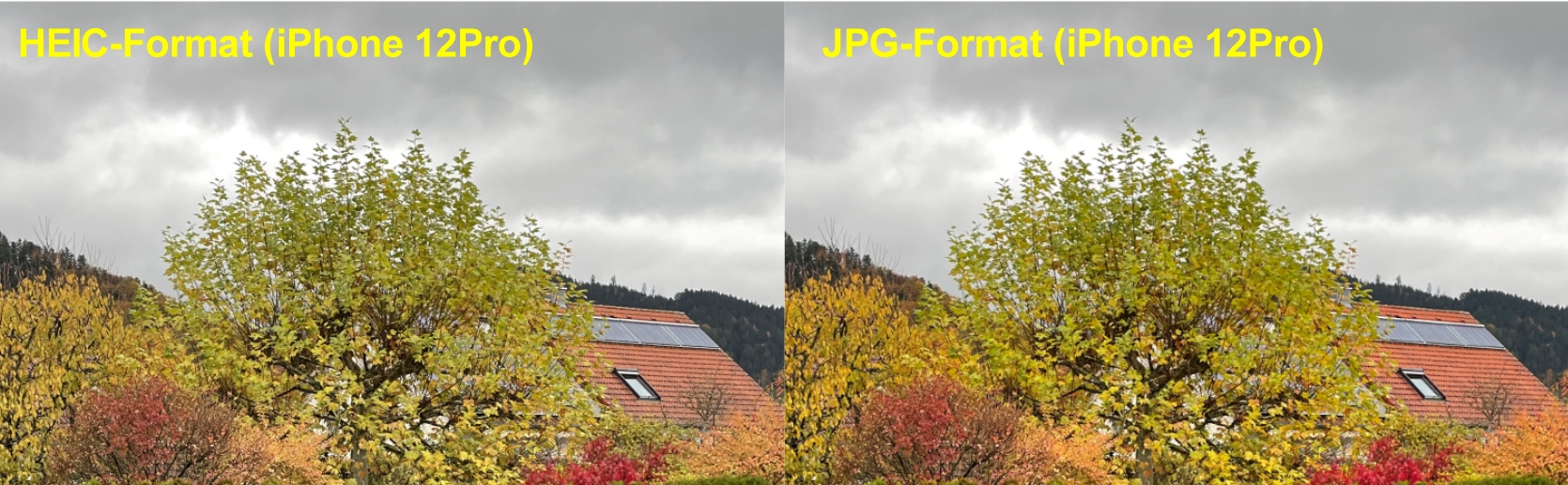 Unterschied HEIC JPG Format Apple